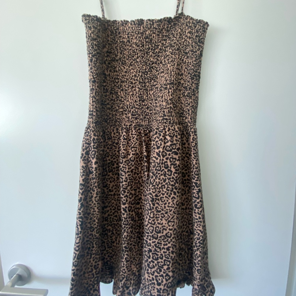 Leopard Print Mini Dress